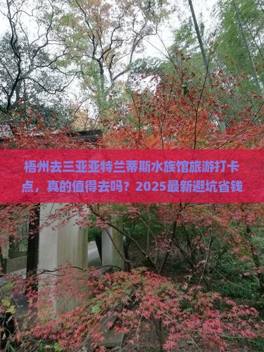 梧州去三亚亚特兰蒂斯水族馆旅游打卡点