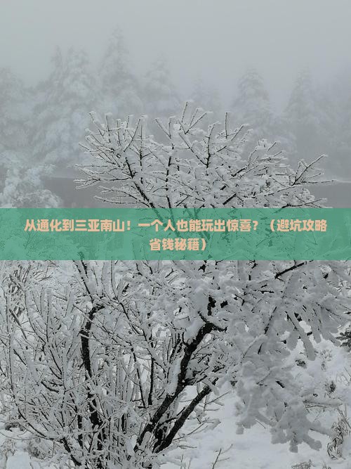 通化前往三亚南山文化旅游区个人游