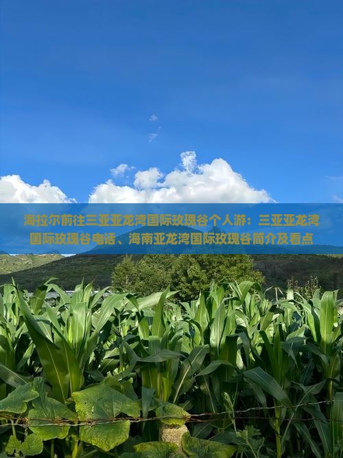 海拉尔前往三亚亚龙湾国际玫瑰谷个人游