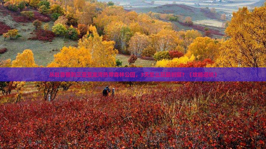 吐鲁番前往三亚亚龙湾热带森林公园自由行