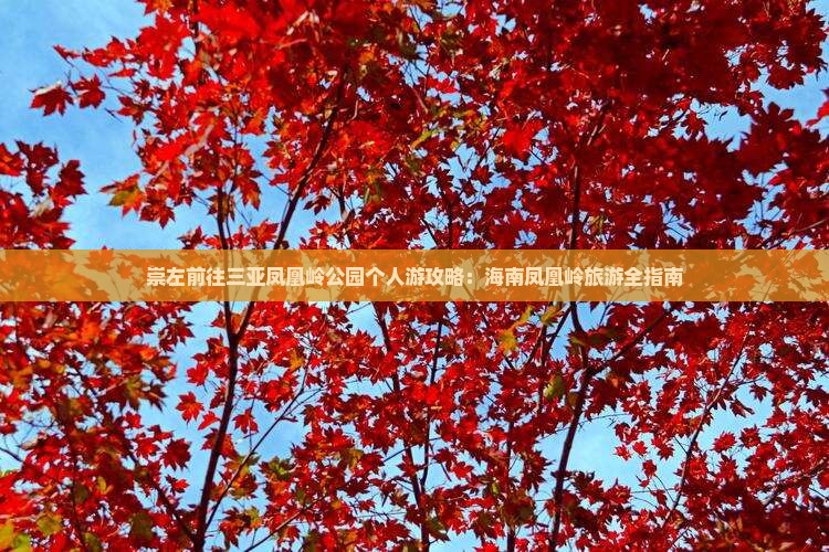崇左前往三亚凤凰岭公园个人游