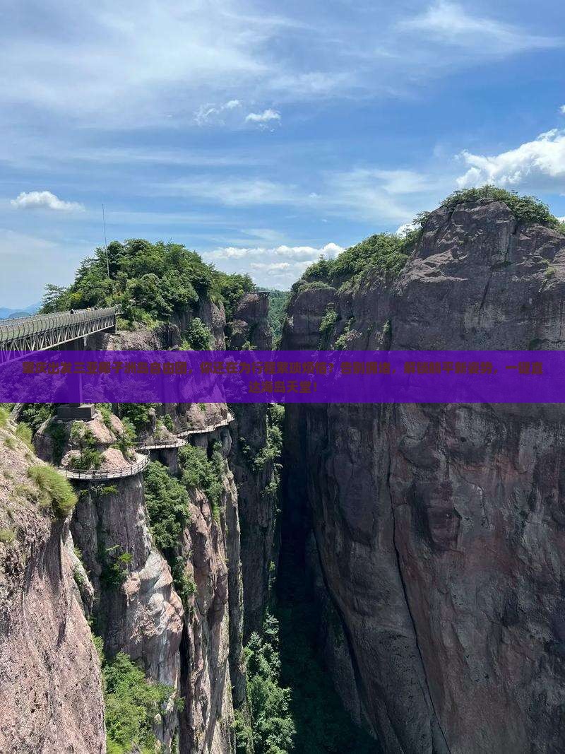 肇庆出发三亚椰子洲岛自由团