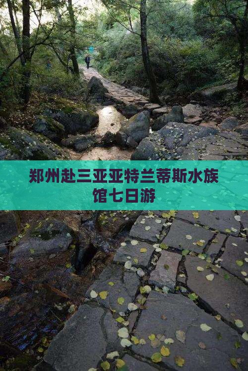 郑州去三亚亚特兰蒂斯水族馆七日游