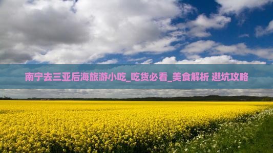 南宁去三亚后海旅游小吃