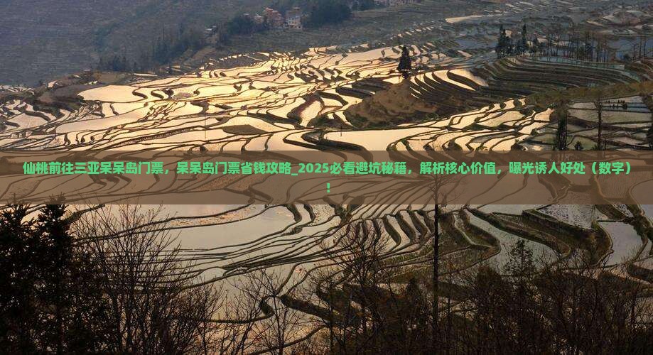 仙桃前往三亚呆呆岛门票