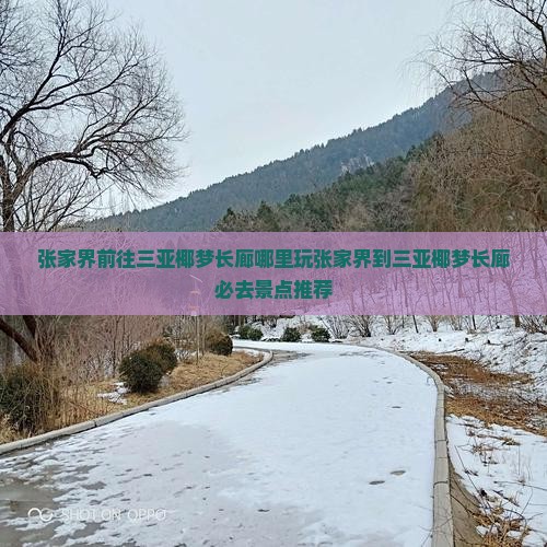 张家界前往三亚椰梦长廊哪里玩