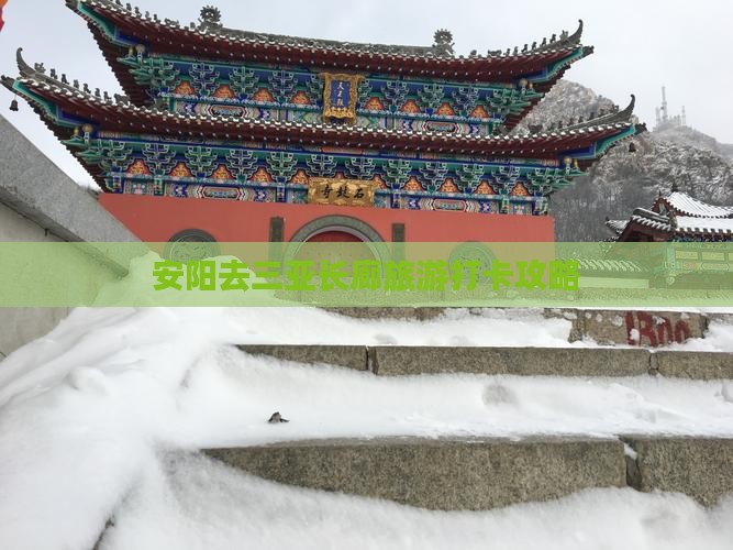 安阳去三亚椰梦长廊旅游打卡点