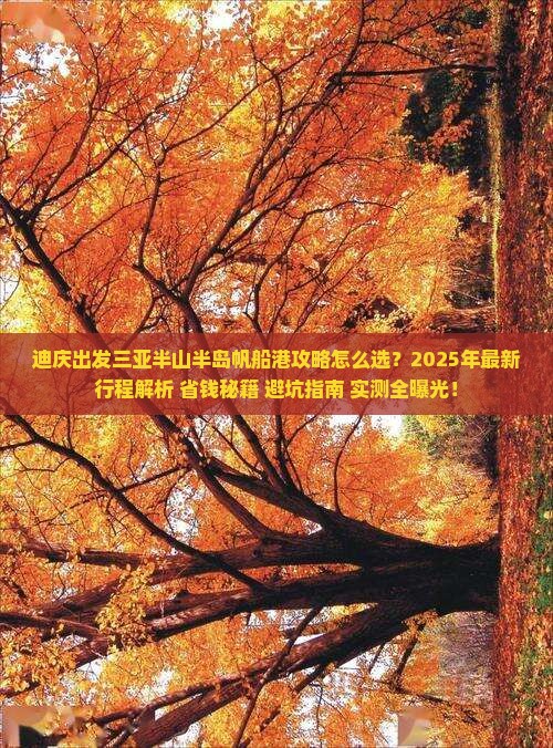 迪庆出发三亚半山半岛帆船港攻略