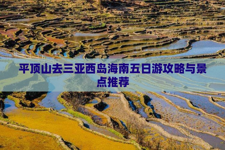 平顶山去三亚西岛五日游