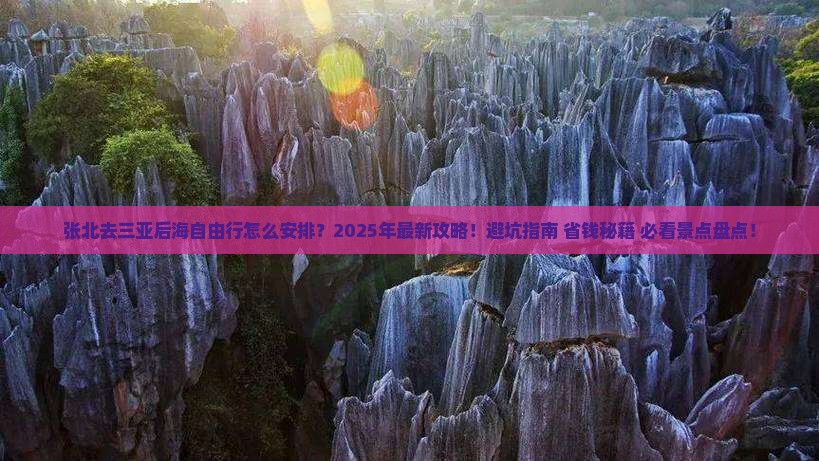 张北去三亚后海自由行