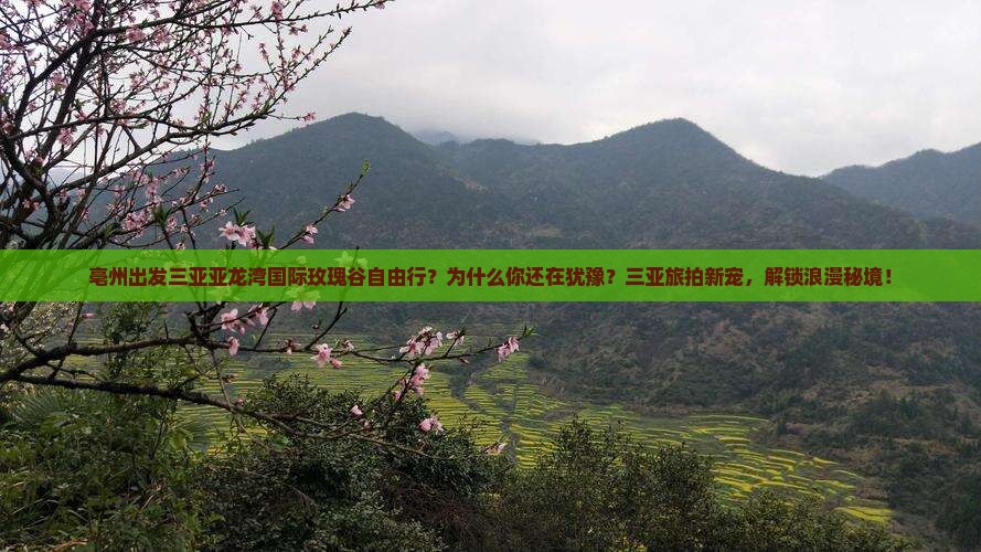 亳州出发三亚亚龙湾国际玫瑰谷自由行