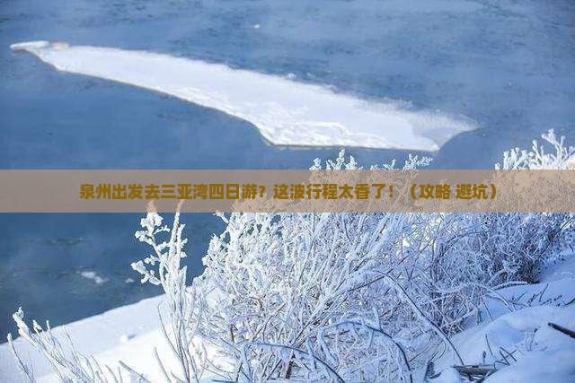 泉州前往三亚三亚湾四日游