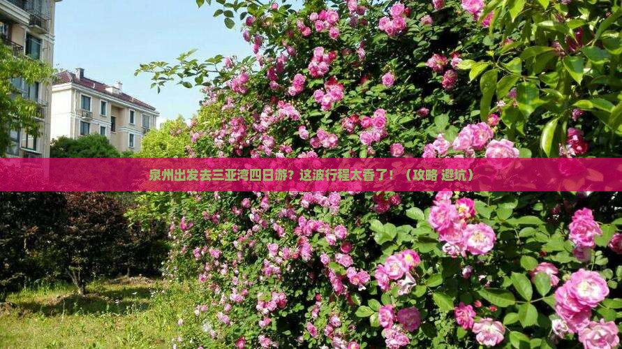 泉州前往三亚三亚湾四日游