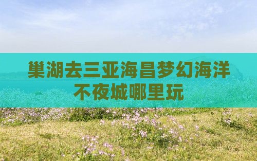 巢湖去三亚海昌梦幻海洋不夜城哪里玩