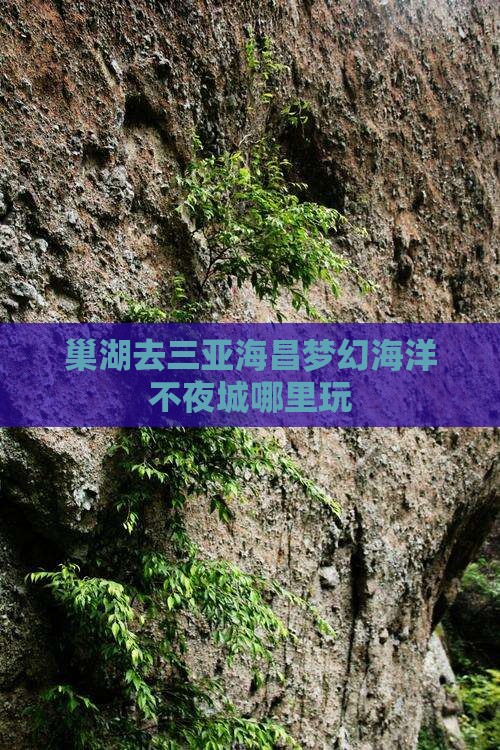 巢湖去三亚海昌梦幻海洋不夜城哪里玩