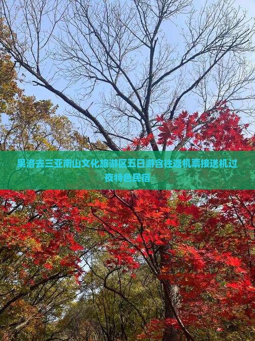 果洛去三亚南山文化旅游区五日游含往返机票接送机过夜特色民宿