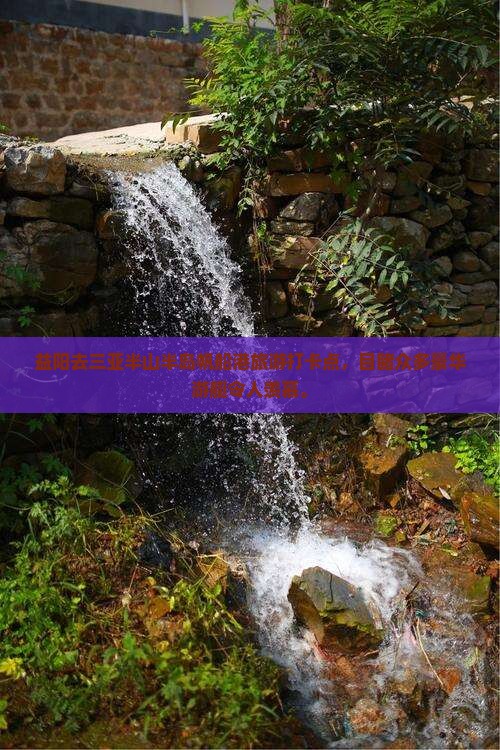 益阳去三亚半山半岛帆船港旅游打卡点，目睹众多豪华游艇令人羡慕。
