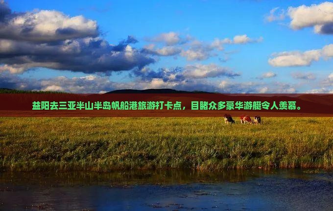 益阳去三亚半山半岛帆船港旅游打卡点，目睹众多豪华游艇令人羡慕。