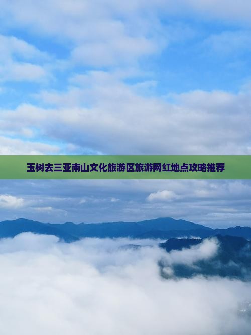 玉树去三亚南山文化旅游区旅游网红地点