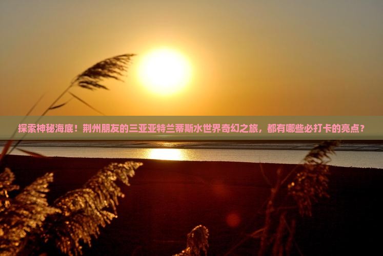 荆州出发三亚亚特兰蒂斯水世界旅游打卡点