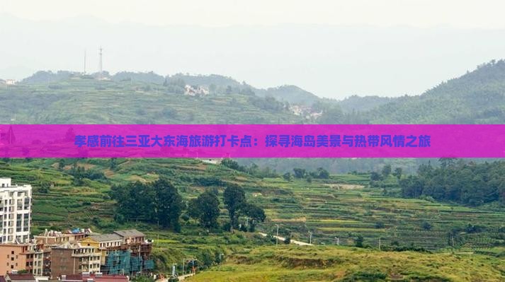 孝感前往三亚大东海旅游打卡点