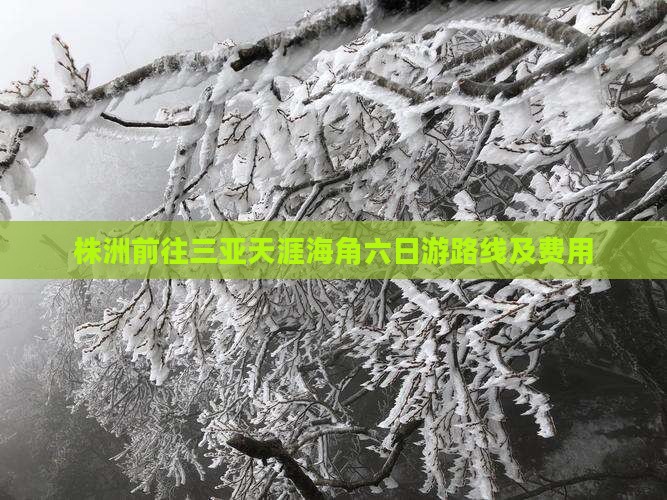 株洲前往三亚天涯海角六日游 株洲前往三亚天涯海角六日游