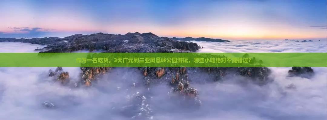 广元前往三亚凤凰岭公园旅游小吃 广元前往三亚凤凰岭公园旅游小吃