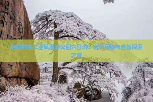 绵阳前往三亚凤凰岭公园六日游