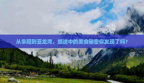 阜阳出发三亚亚龙湾旅游小吃