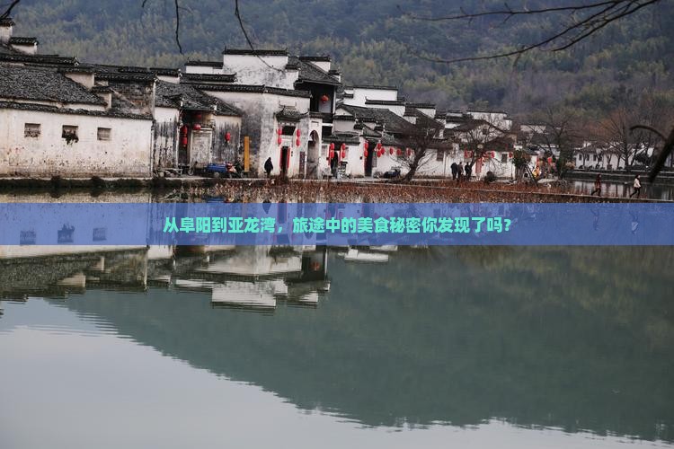 阜阳出发三亚亚龙湾旅游小吃