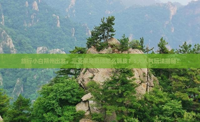 朔州出发三亚呆呆岛哪里玩