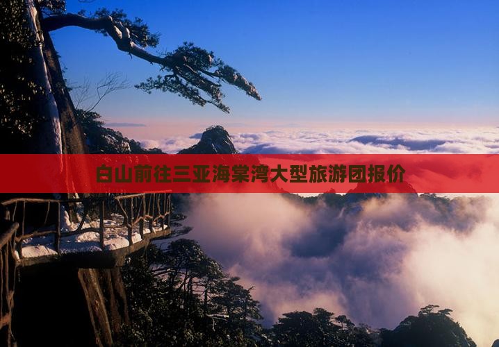 白山前往三亚海棠湾大型旅游团