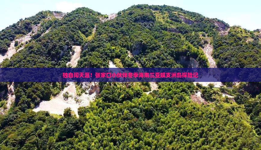 张家口去三亚蜈支洲岛个人游