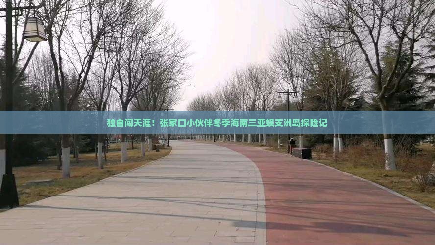 张家口去三亚蜈支洲岛个人游