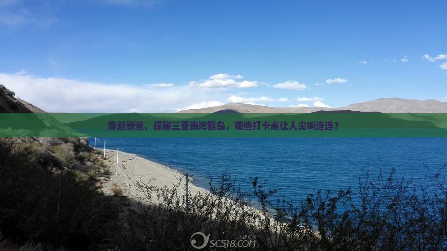 贵港去三亚南湾猴岛旅游打卡点