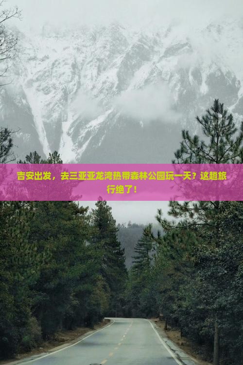 吉安去三亚亚龙湾热带森林公园一日游