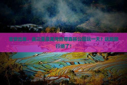 吉安去三亚亚龙湾热带森林公园一日游