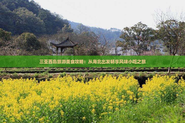 海北出发三亚西岛旅游小吃