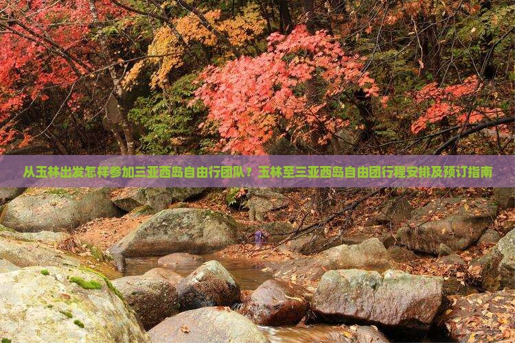 玉林出发三亚西岛自由团