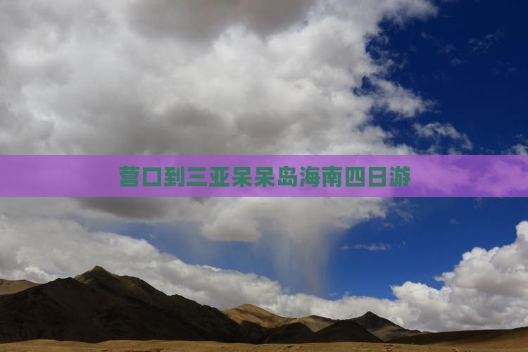 营口去三亚呆呆岛大型旅游团