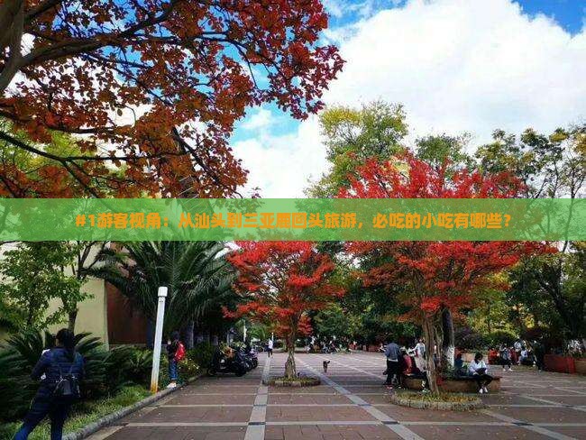 汕头去三亚鹿回头旅游小吃