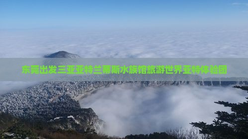 东莞出发三亚亚特兰蒂斯水族馆自由团