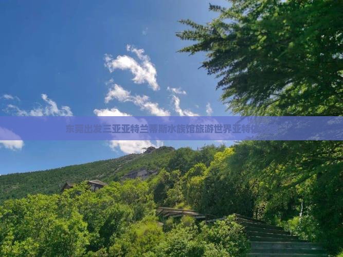 东莞出发三亚亚特兰蒂斯水族馆自由团
