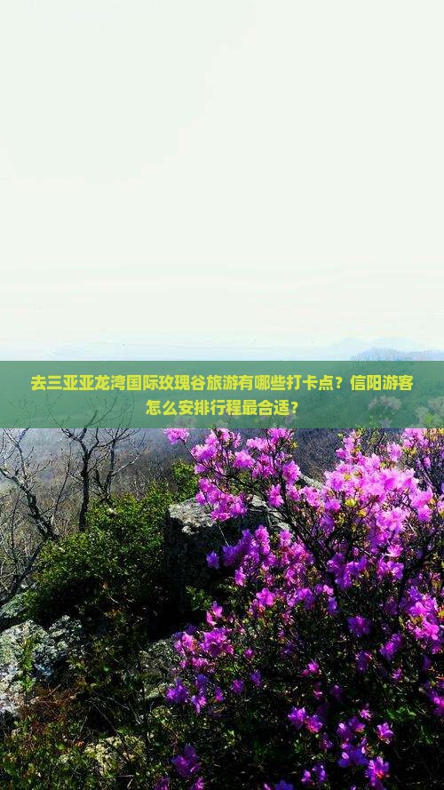 信阳去三亚亚龙湾国际玫瑰谷旅游打卡点