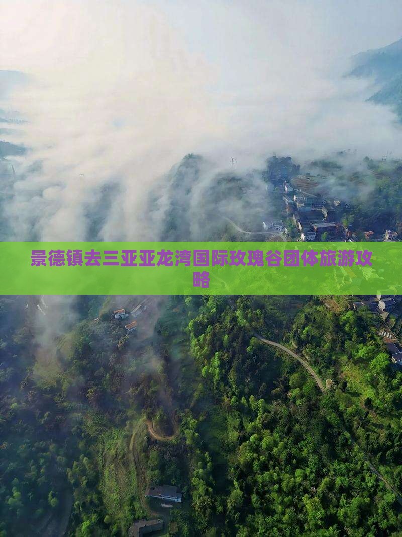 景德镇去三亚亚龙湾国际玫瑰谷团体旅游