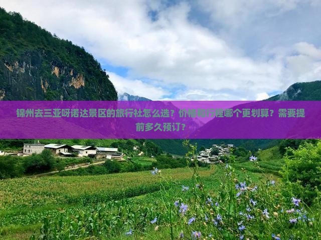 锦州去三亚呀诺达景区旅行社