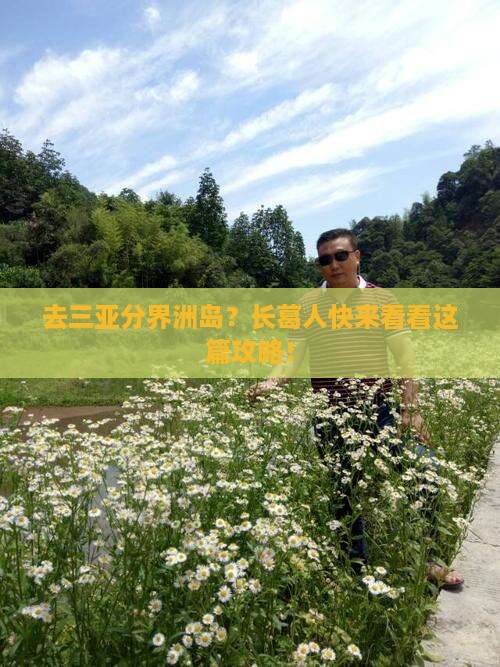 长葛前往三亚分界洲岛旅行社