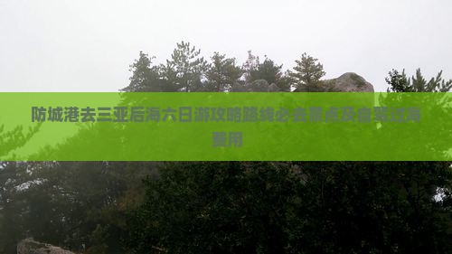 防城港去三亚后海六日游