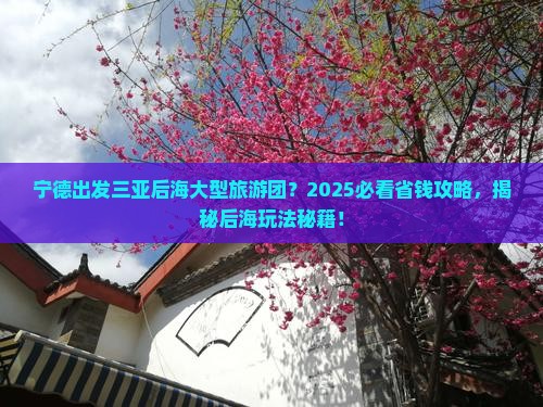 宁德出发三亚后海大型旅游团