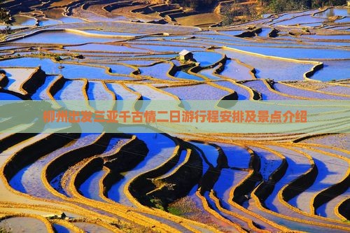 柳州出发三亚千古情二日游